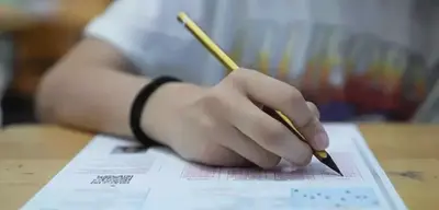 LGS Sonuçları Bu Sabah Açıklanıyor