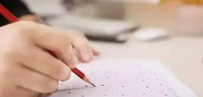 LGS'de 719 Şampiyon Çıktı!