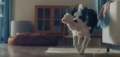 Bosch'un "Anneler Günü" Reklamı Yayından Kaldırıldı!