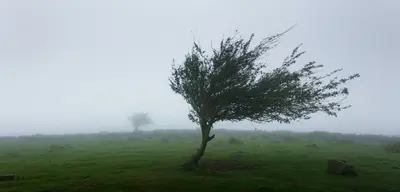 Marmara ve Kuzey Ege'de Fırtına Uyarısı
