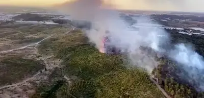 Antalya'nın Aksu İlçesinde Orman Yangını: Ekipler Havadan ve Karadan Müdahale Ediyor