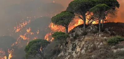Sicilya'da Orman Yangınları: Yerleşim Yerleri Tahliye Edildi