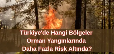 Avrupa'da Yangın Riski Tırmanıyor: Yeni Haritada Türkiye'nin Batısı Öne Çıktı