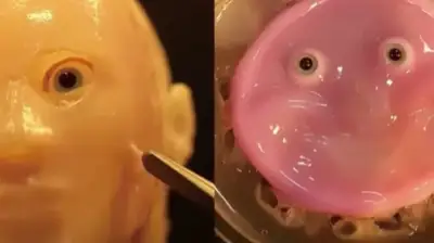 Japonlar Kendini Aştı! İnsansı Deriye Sahip Robot Geliştirdiler!