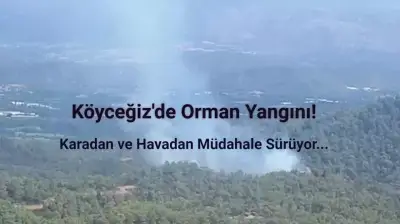 Muğla'nın Köyceğiz İlçesinde Orman Yangını Çıktı!