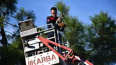Ağaçta Mahsur Kalan Kedi, Kendisini Kurtaran İtfaiye Çalışanına Minnettarlığını Böyle Gösterdi