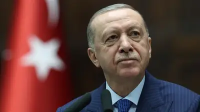 Erdoğan: "Ana Muhalefet Titre ve Kendine Gel"