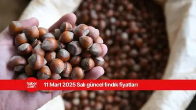 11 Mart 2025 Salı fındık fiyatları ne kadar? İl il fındık fiyatları