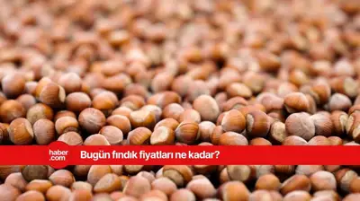 12 Mart 2025 Çarşamba fındık fiyatları ne kadar? İl il fındık fiyatları