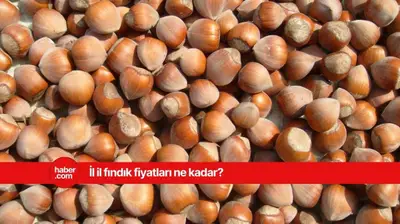 13 Mart 2025 Perşembe fındık fiyatları ne kadar? İl il fındık fiyatları