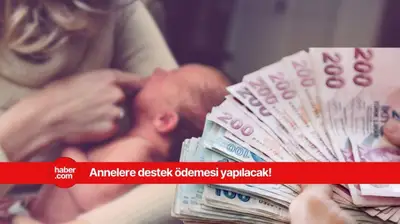 Doğum yapan annelere 395 bin TL verilecek! Duyduk duymadık demeyin