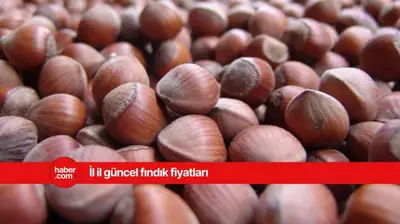 19 Mart 2025 Çarşamba fındık fiyatları ne kadar? Güncel fındık fiyatları