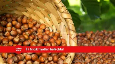 27 Mart 2025 Perşembe fındık fiyatları ne kadar? Giresun, Ordu, Samsun, Trabzon fındık fiyatları
