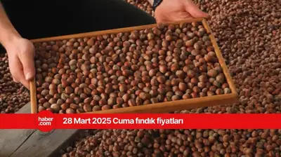 28 Mart 2025 Cuma fındık fiyatları ne kadar? Bugün fındık fiyatları ne kadar?