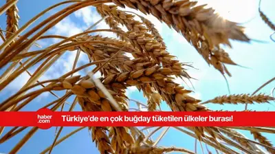 En çok buğday tüketen ülkeler açıklandı! Bakın Türkiye kaçıncı sırada yer alıyor