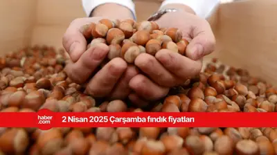 2 Nisan 2025 Çarşamba fındık fiyatları ne kadar? İl il fındık fiyatları