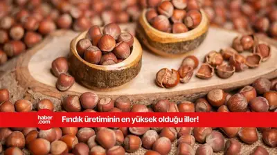 Türkiye'nin en çok fındık üreten illeri açıklandı! İşte o iller
