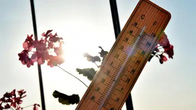 Sıcaklıklar Artıyor: Yurt Genelinde Toz Taşınımı, Sis ve Pus Etkili Olacak