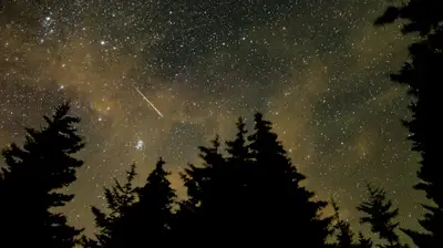Meteor Yağmuru Ne Zaman, Saat Kaçta? Türkiye'den İzlenebilecek Mi?